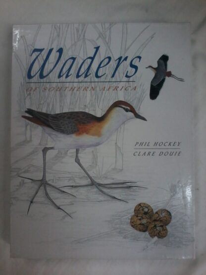 Waders of Southern Africa by Clare Douie