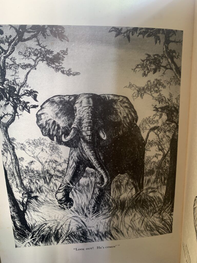 African Rifles & Cartridges - John Taylor 1948 - Image 2