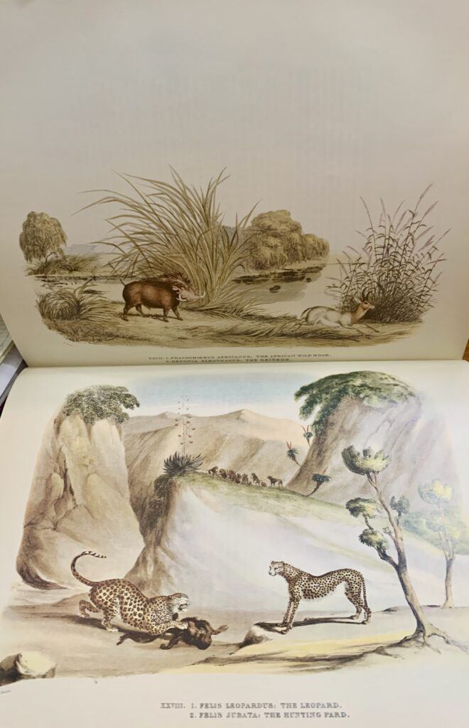 Portraits of the Game and Wild Animals of Southern Africa 1840 - Captain William Cornwallis Harris - Image 2