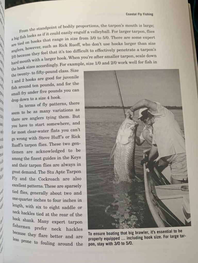 Orvis Guide to Saltwater Fly Fishing, New and Revised - Nick Curcione - Image 2