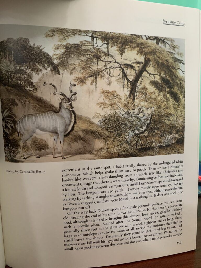 Safari : A Chronicle of Adventure – Bartle Bull - Image 5