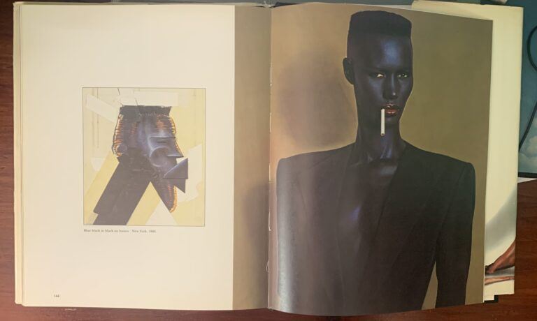 Jungle Fever  Jean-Paul Goude - Image 2