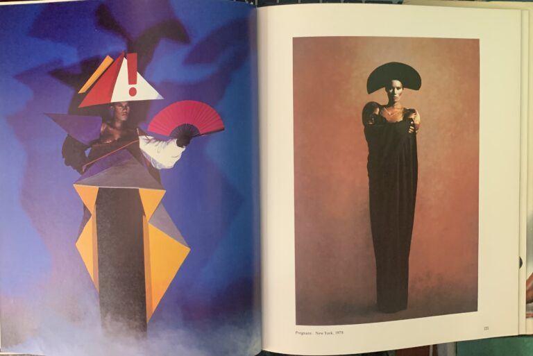 Jungle Fever  Jean-Paul Goude - Image 5