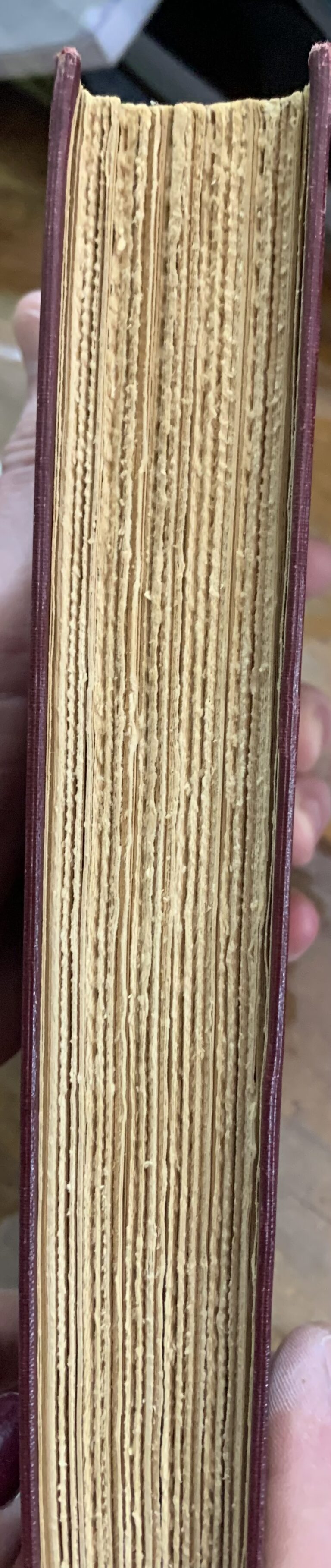SOUTH AFRICA - JAN H. HOFMEYR, 1931, 1st edition- with fold out map - Image 2