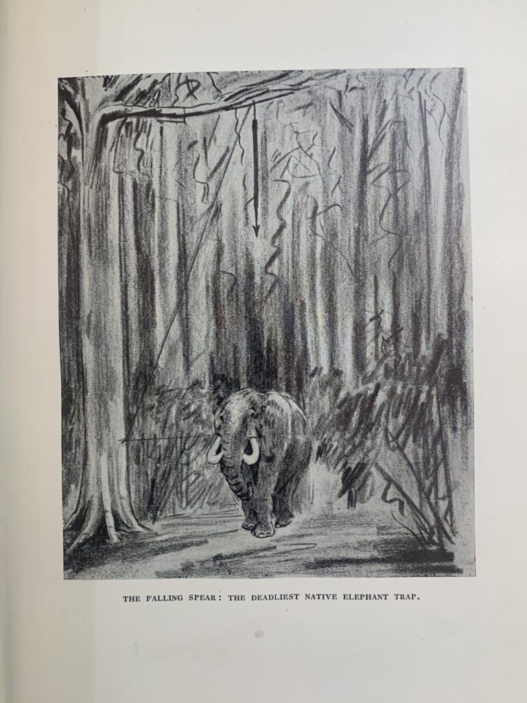 The Wanderings of a Elephant hunter - W D M Bell, 1st edition (1923) - Image 6