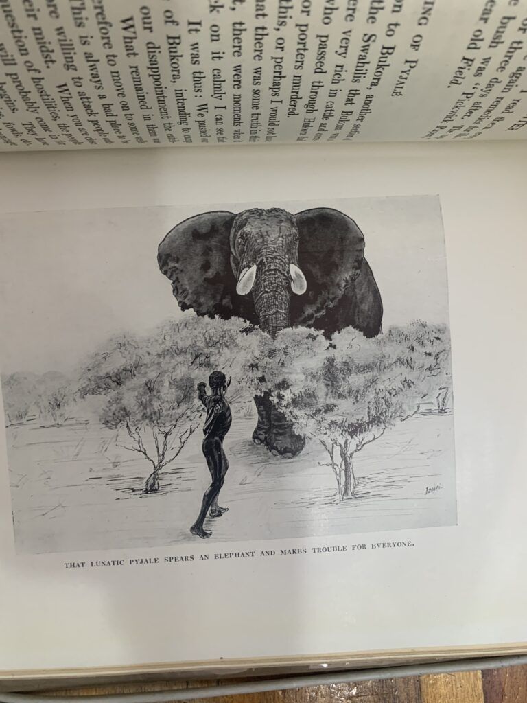 The Wanderings of a Elephant hunter - W D M Bell, 1st edition (1923) - Image 4