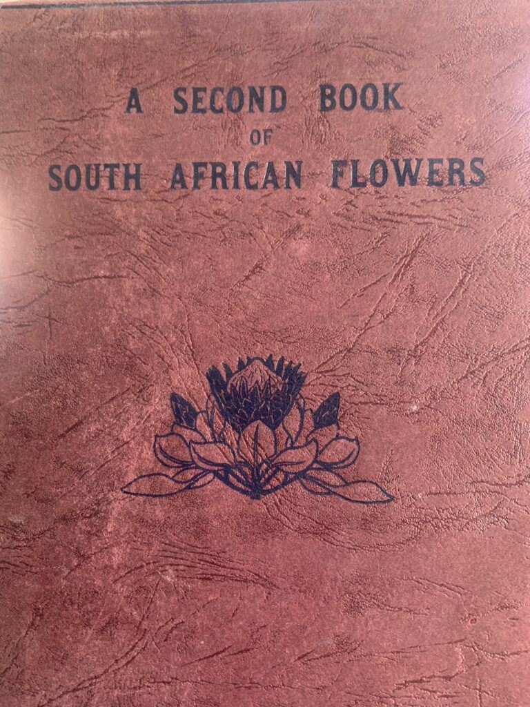 A SECOND BOOK of SOUTH AFRICAN FLOWERS - Bolus H M L, Barclay D and Steer E J