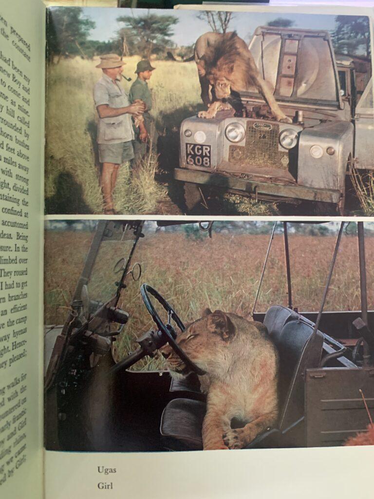 Bwana Game -   George Adamson - Image 3