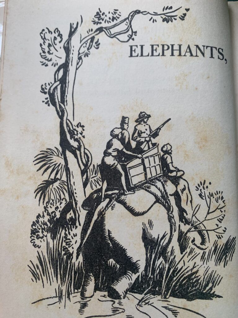 Elephants, elephants, elephants - Phyllis R. Fenner - Image 3