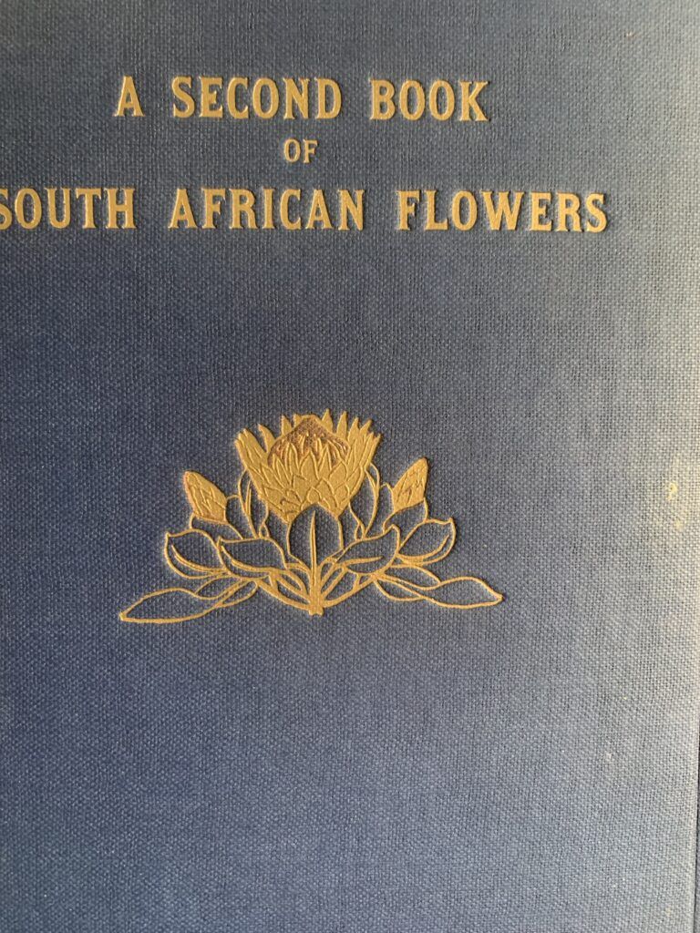 A SECOND BOOK of SOUTH AFRICAN FLOWERS - Bolus H M L, Barclay D and Steer E J - Image 2