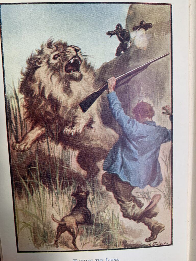 Hunting the Lions - R.M. Ballantyne 1st edition - Image 2