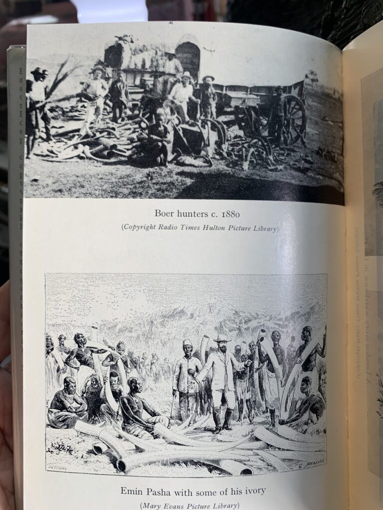 White Gold: The Story of African Ivory - Derek Wilson, Peter Ayerst - Image 2