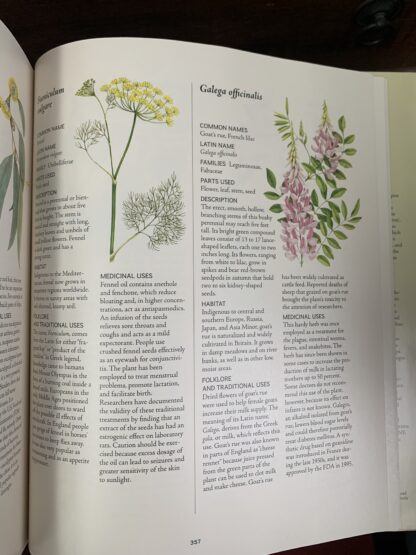 Nature's Medicine: Plants that Heal: A chronicle of mankind's search for healing plants through the ages - Joel L Swerdlow,Phd - Image 3