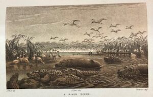 African Hunting and Adventure, From Natal to the Zambesi – William Charles Baldwin Limited edition 199/750 - Image 7
