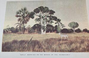 The Large Game and Natural History of South and South-East Africa -  Drummond, W.H. Limited edition 329/1000 - Image 4