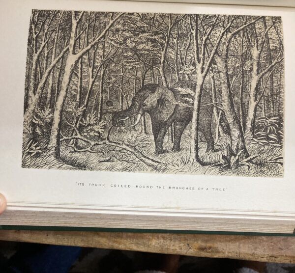 The Large Game and Natural History of South and South-East Africa -  Drummond, W.H. Limited edition 329/1000 - Image 3