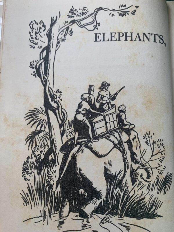 Elephants, elephants, elephants - Phyllis R. Fenner - Image 3