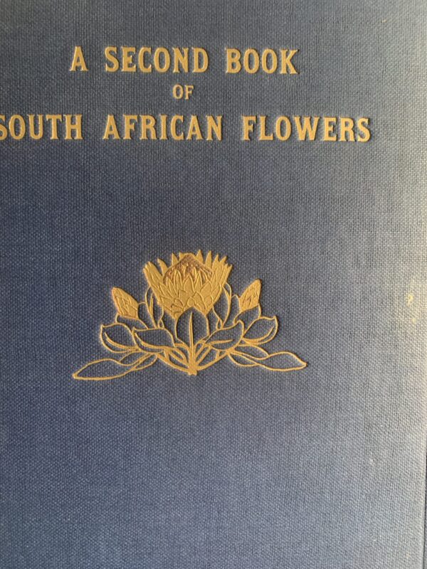 A SECOND BOOK of SOUTH AFRICAN FLOWERS - Bolus H M L, Barclay D and Steer E J - Image 2