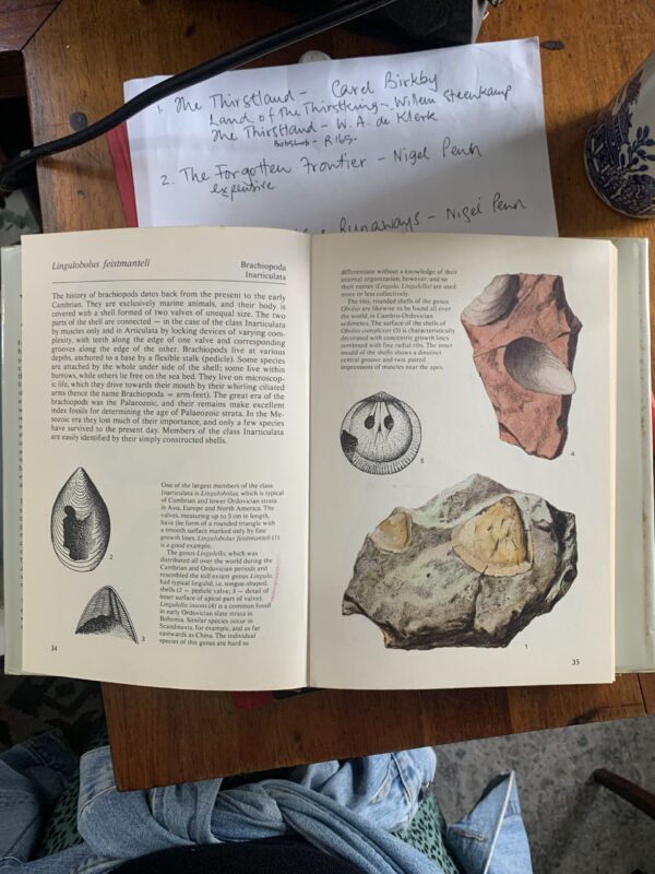 Fossils guide , Rudolf Prokop - Image 2