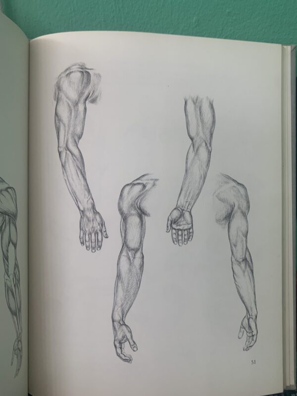 The Human Figure, an Anatomy for Artists - David K Rubins - Image 5