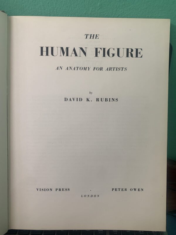 The Human Figure, an Anatomy for Artists - David K Rubins