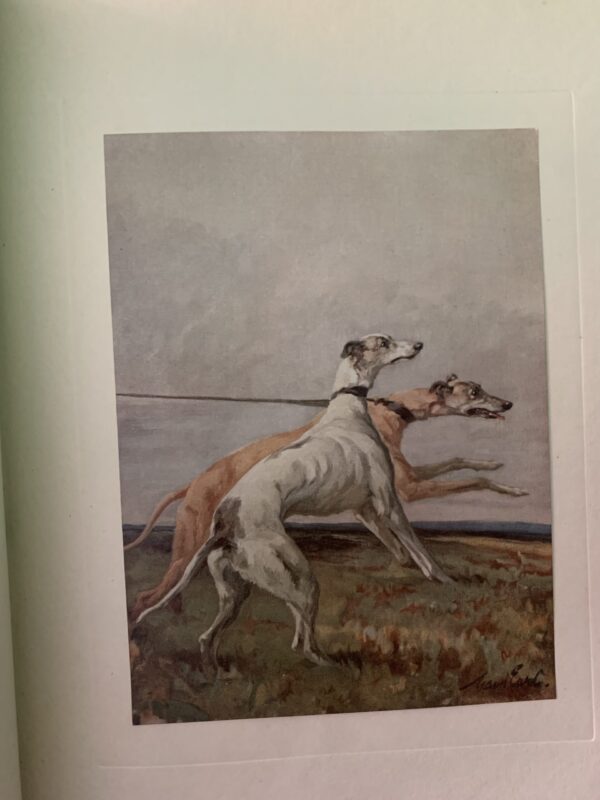 The Power of The Dog - A. Croxton Smith (191O) Twenty Plates in Colour by MAUD EARL - Image 5