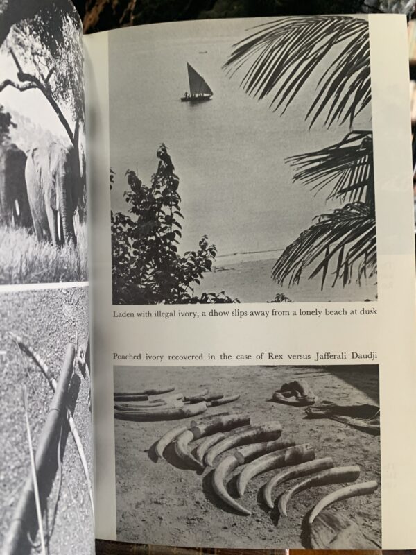 THE SHAMBA RAIDERS-MEMORIES OF A GAME WARDEN` BRUCE KINLOCH - Image 3