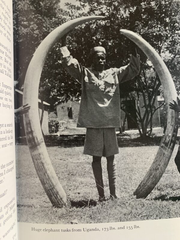 THE SHAMBA RAIDERS-MEMORIES OF A GAME WARDEN` BRUCE KINLOCH - Image 2