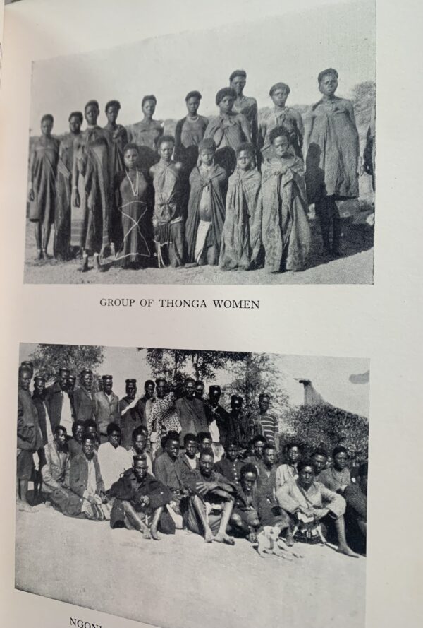 The Low-Veld: Its Wild Life and Its People - James Stevenson-Hamilton  (Lieut.-Col) - Image 3