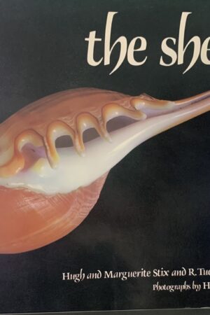 The Shell- Hugh & Margueritte Stix & R Tucker Abbott, photographs by H Landshoff