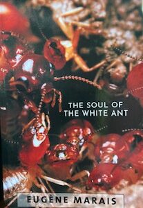 The Soul of the White Ant - Eugene Marais