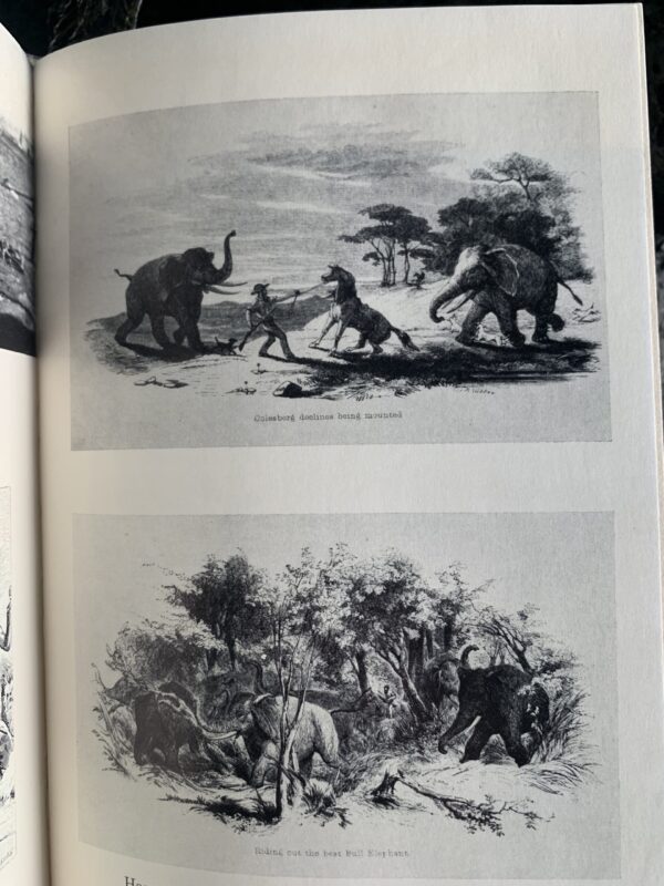 White Gold: The Story of African Ivory - Derek Wilson, Peter Ayerst - Image 3