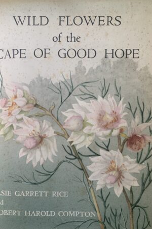 Wild Flowers of the Cape of Good Hope - Elsie Garrett Rice & Robert Harold Compton (hardback)