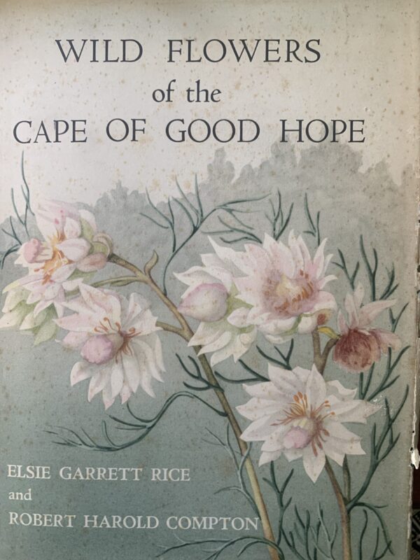 Wild Flowers of the Cape of Good Hope - Elsie Garrett Rice & Robert Harold Compton (hardback)