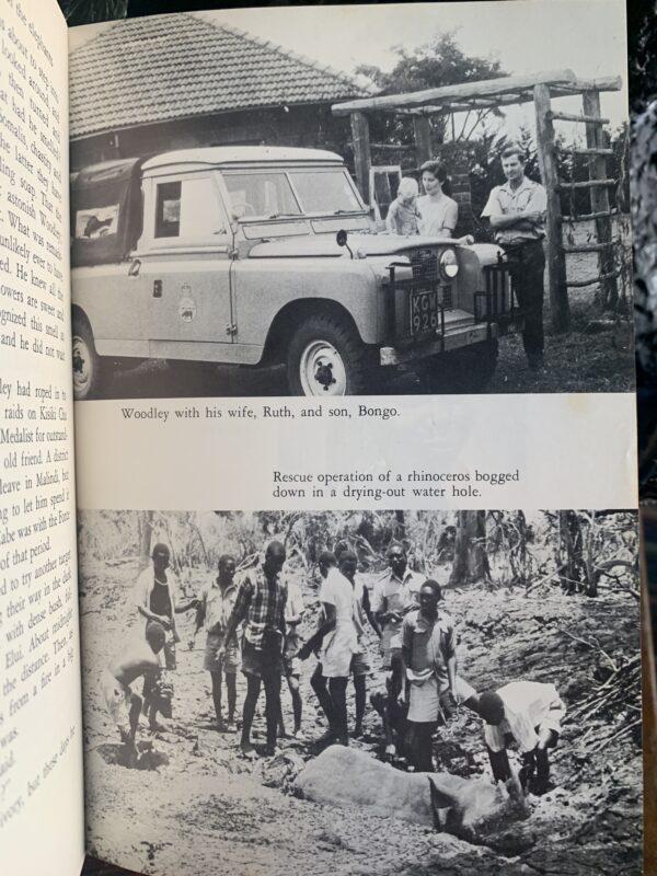 MASSACRE OF THE ELEPHANTS - BY DENNIS HOLMAN - Image 5