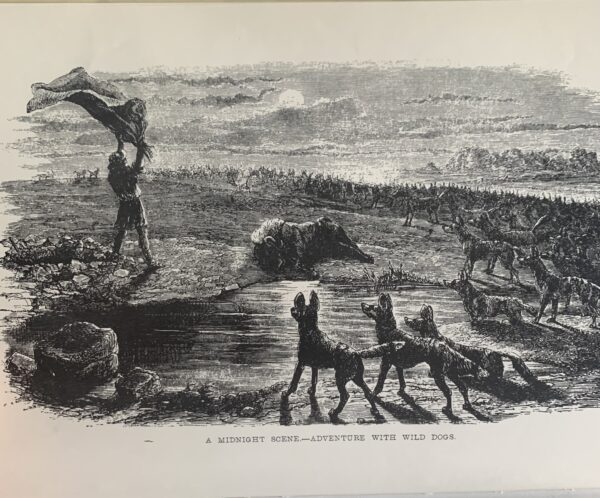 A Hunter's Life in South Africa - R. Gordon Cumming - Image 3