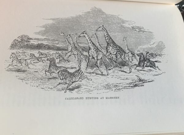 A Hunter's Life in South Africa - R. Gordon Cumming - Image 2