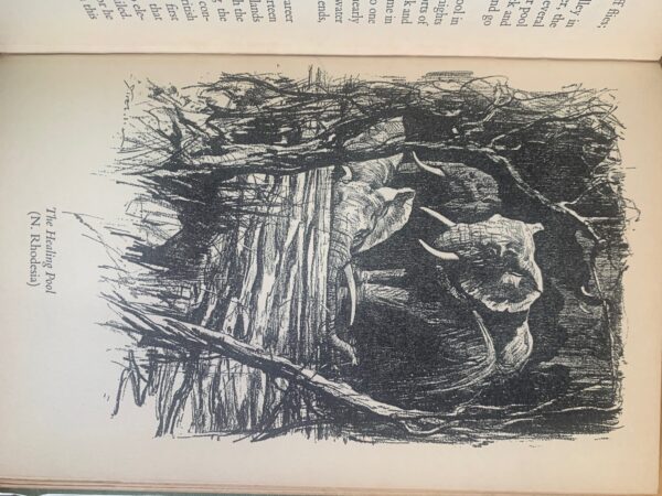 Elephants In Africa  Frank Melland 1st edition - Image 3