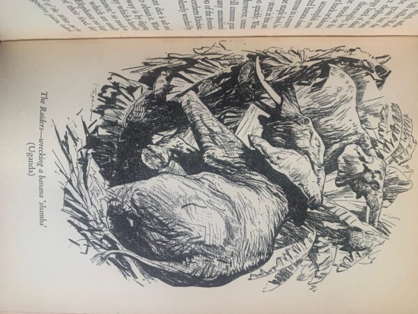 Elephants In Africa  Frank Melland 1st edition - Image 2