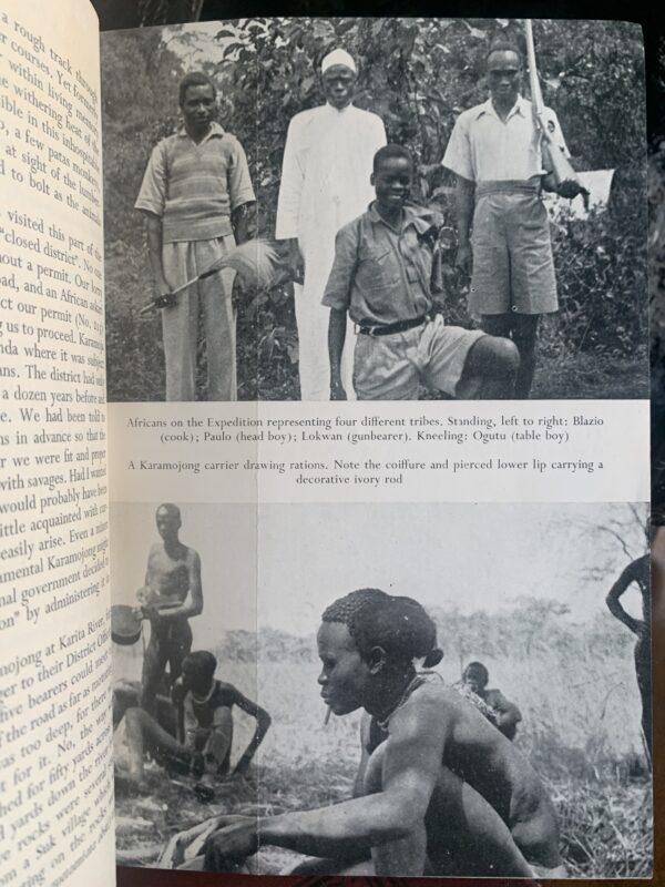FOREST SAFARI - Arthur Loveridge, 1956 - Image 4
