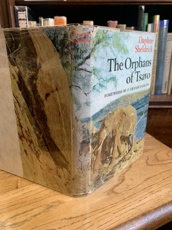 The Orphans of Tsavo Sheldrick, Daphne; F. Fraser Darling [foreword] - Image 5