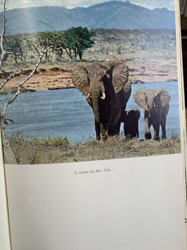 The Orphans of Tsavo Sheldrick, Daphne; F. Fraser Darling [foreword] - Image 3