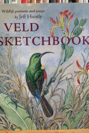 Hemingways Bookshop | Solzhenitsyn August 1914