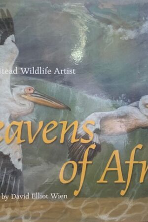 Heavens of Africa - Lisa Halstead & David Elliot Wien