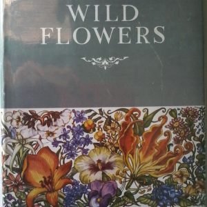 Rhodesian Wild Flowers 001