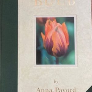 bulb