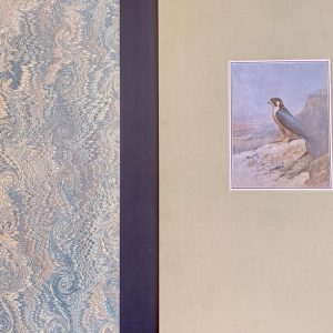 hunters of the african sky