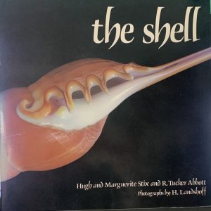 the shell