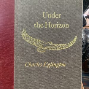 under the horizon